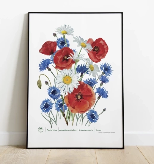 Polne kwiaty — plakat