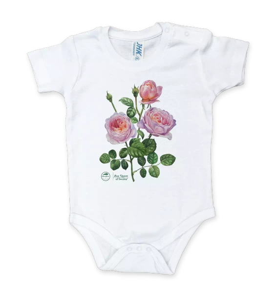 body z motywem roślinnym dla niemowlaka, noworodka — róża 'Queen of Sweden'