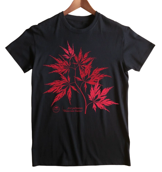koszulka klasyczna, unisex, z motywem roślinnym — klon palmowy ‘Dissectum Garnet’
